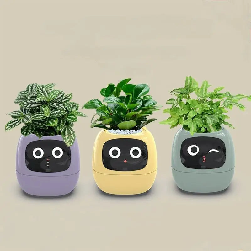 Ivy - The Smart Planter