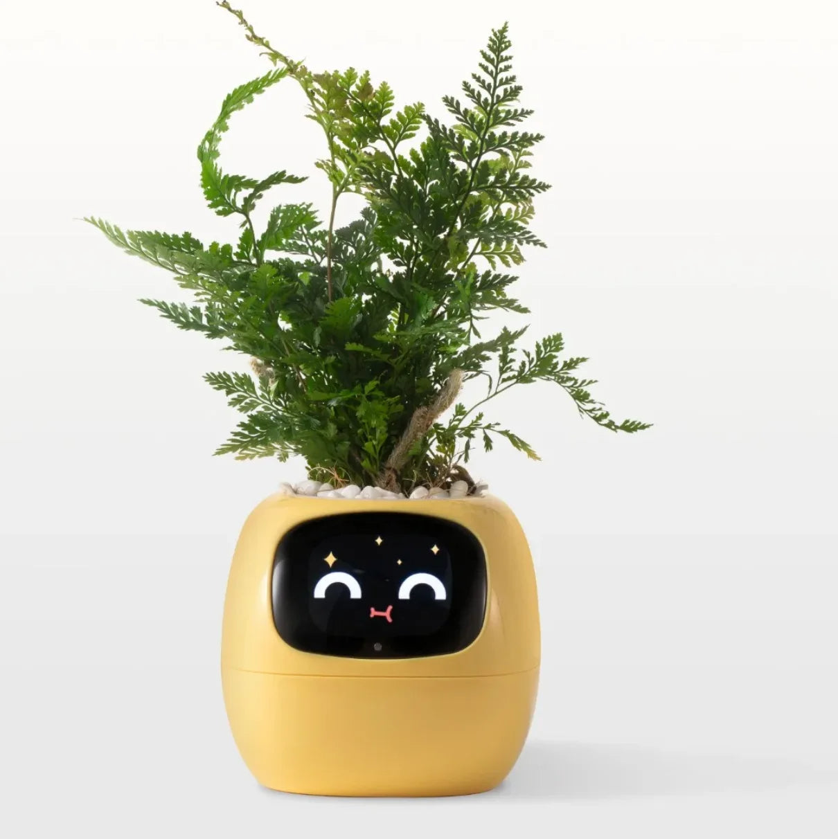 Ivy - The Smart Planter