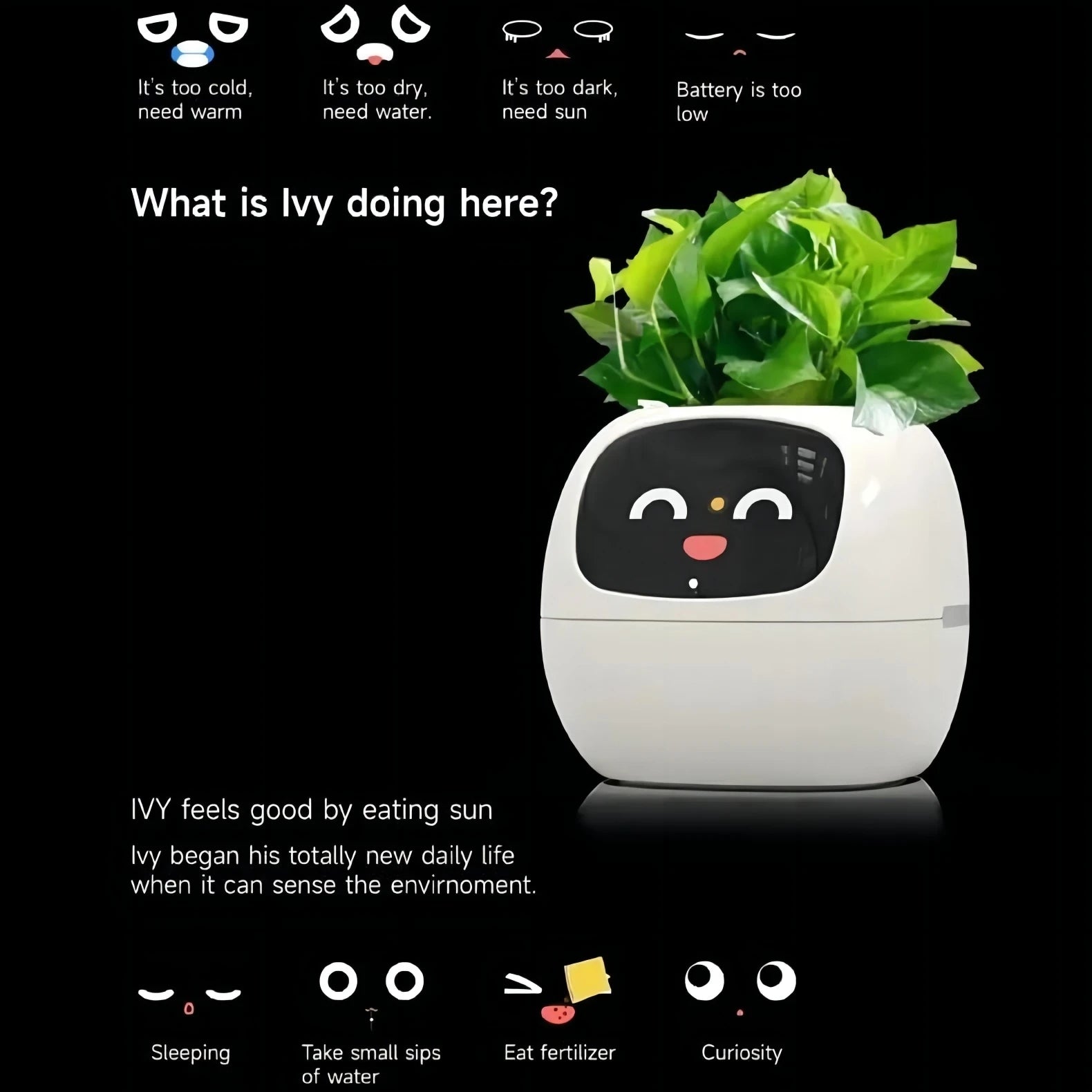 Ivy - The Smart Planter