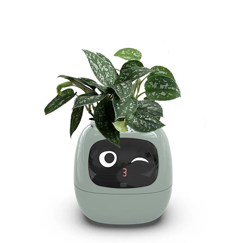 Ivy - The Smart Planter