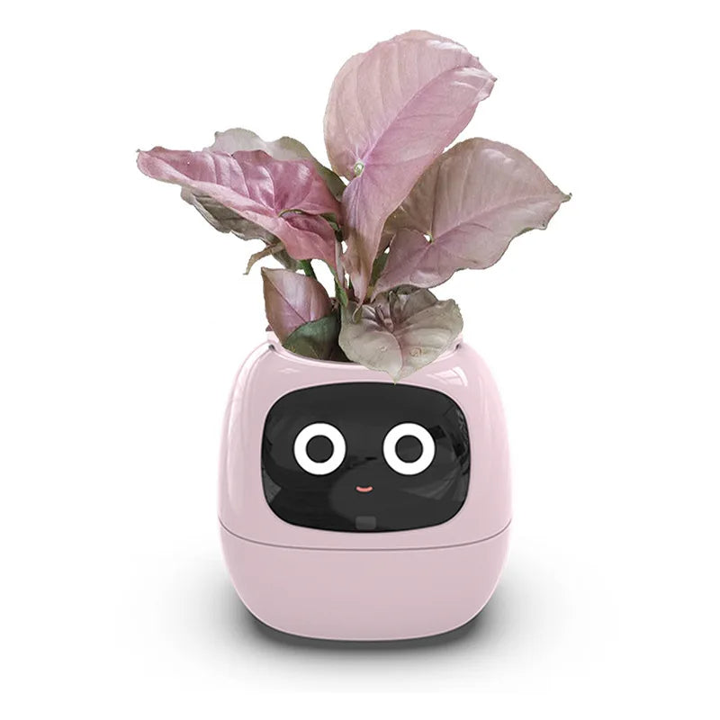 Ivy - The Smart Planter