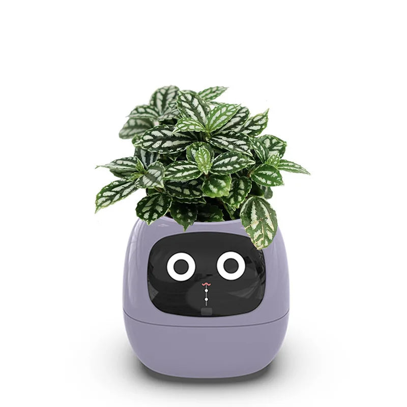 Ivy - The Smart Planter