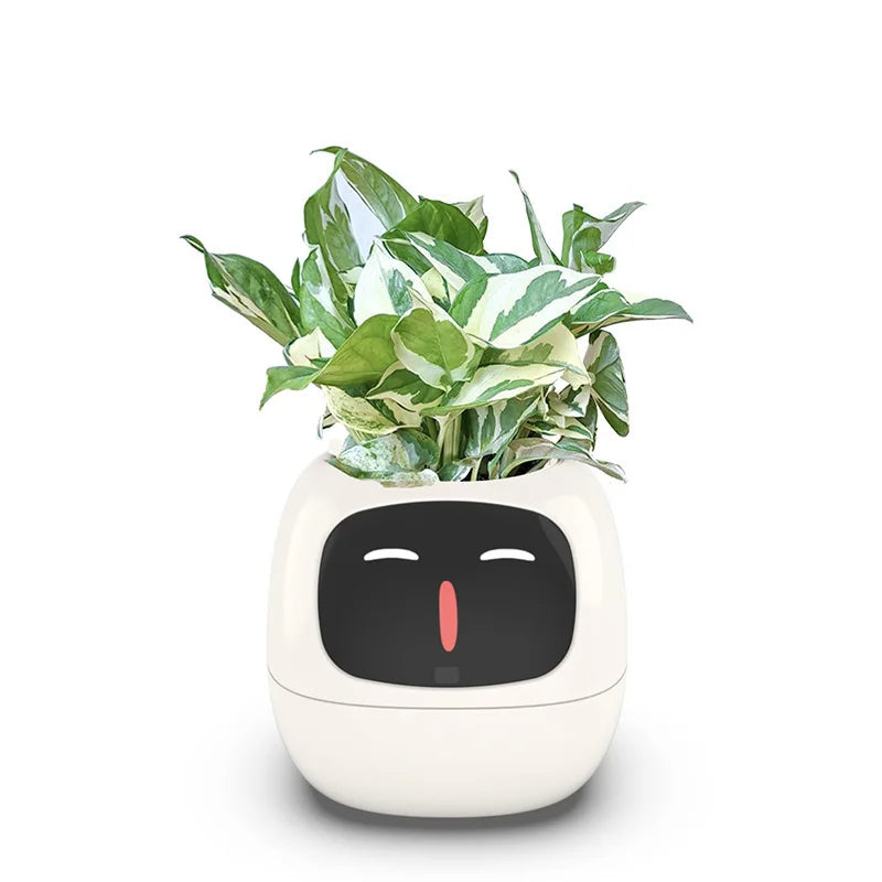 Ivy - The Smart Planter