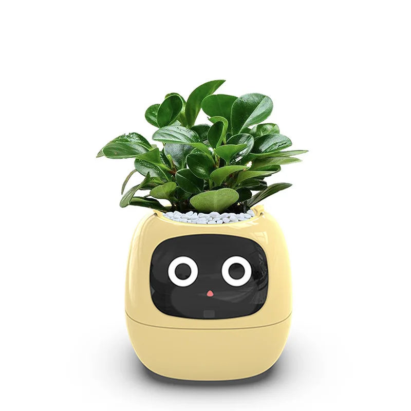 Ivy - The Smart Planter